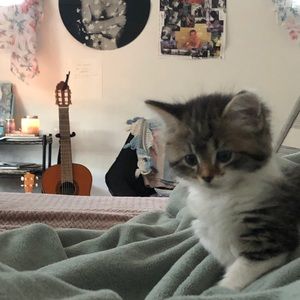 Meet your Posher, Juliana